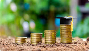 Top Scholarships for International Students in 2025