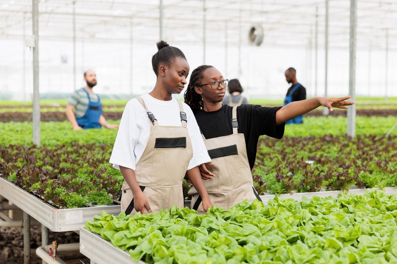 Agriculture and Environmental Studies